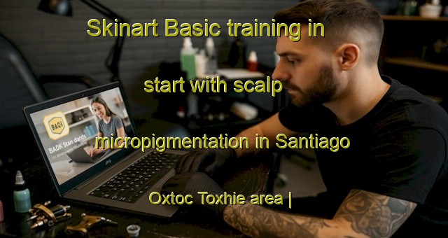 Skinart Basic training in start with scalp micropigmentation in Santiago Oxtoc Toxhie area | SmpTraining | SmpClasses | SkinartTraining-Mexico
